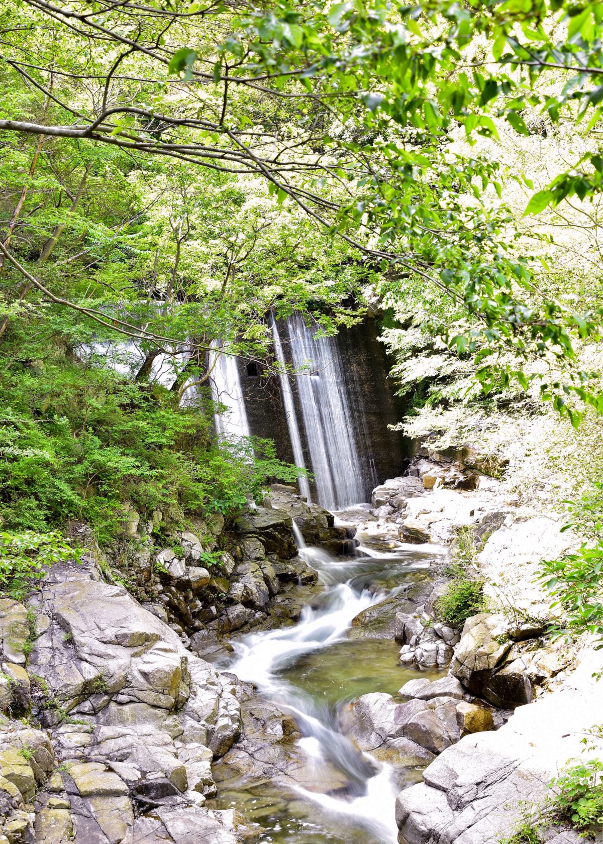 神戸 布引の滝 平安の貴族と世界の船乗りに愛された水の謎 Smile Log